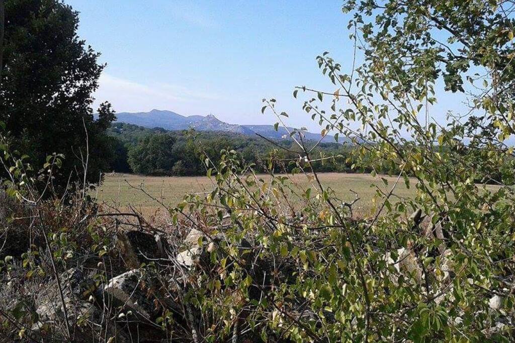 sentier à la sortie du gîte
