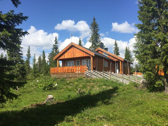 Cozy family cabin