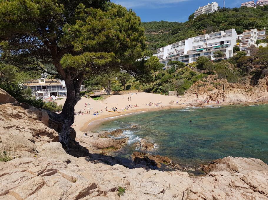 CALA SALIONC PLAGE
