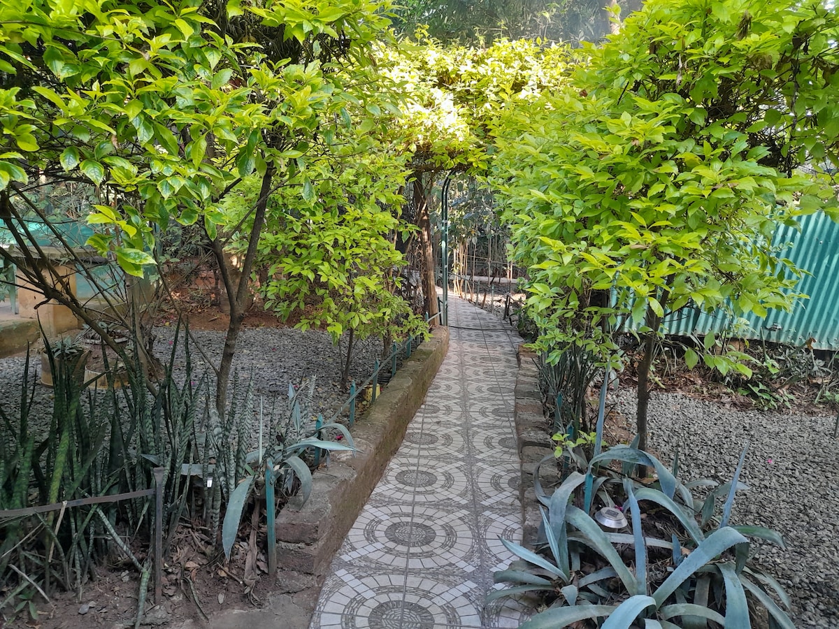 A charming garden path is lined with lush greenery and well-maintained plants. A stone mosaic path leads through the foliage, inviting visitors toward an archway at the end, surrounded by vibrant leaves and the tranquil atmosphere of the retreat.