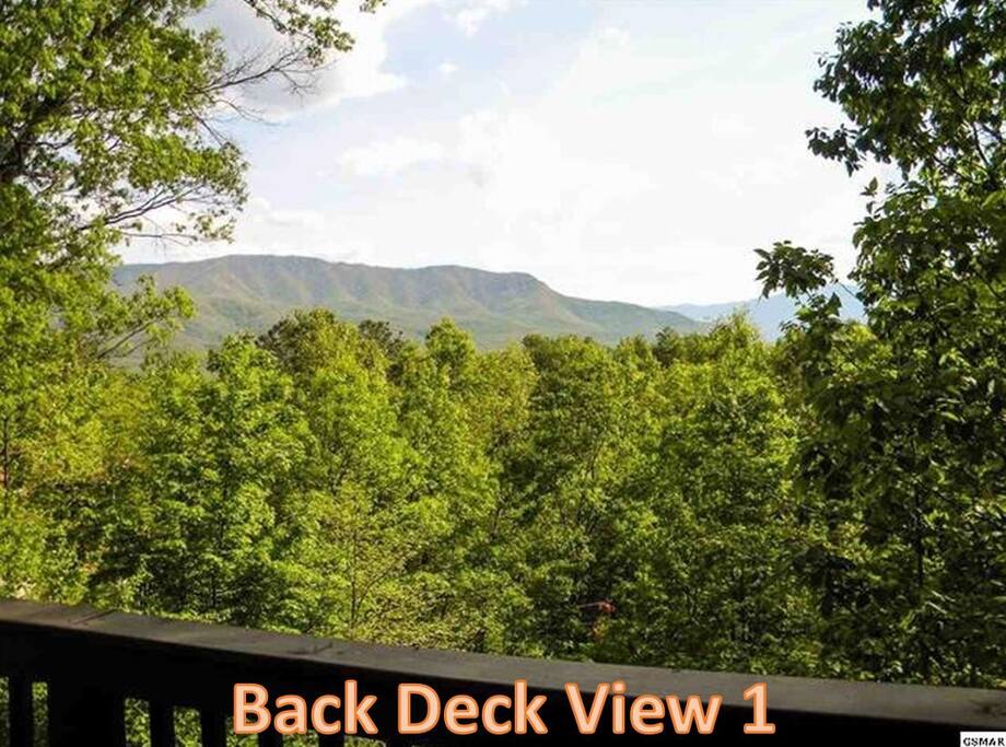 Back Deck View 1