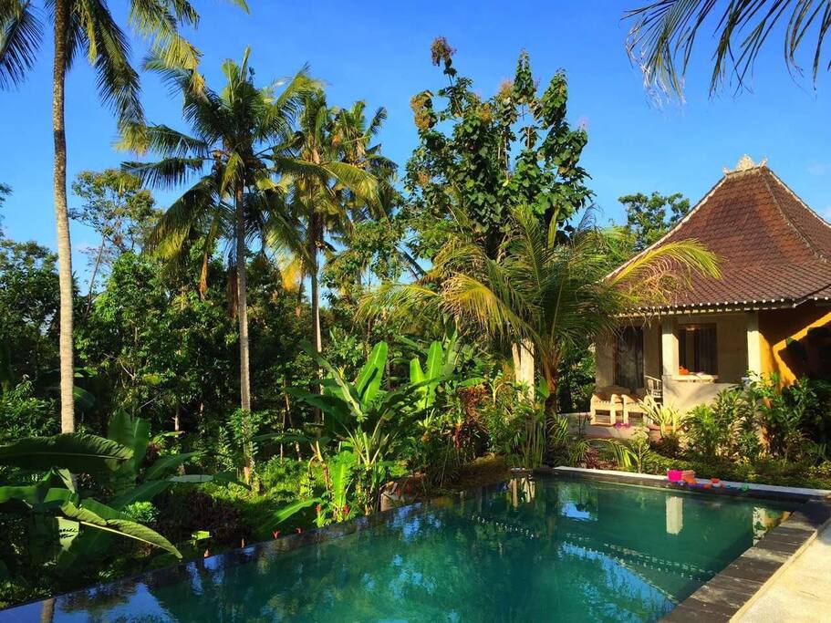 Jungle Pool Бали Убуд