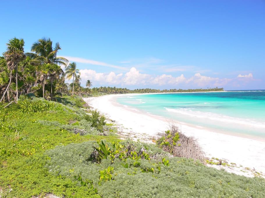 The nearest Beach