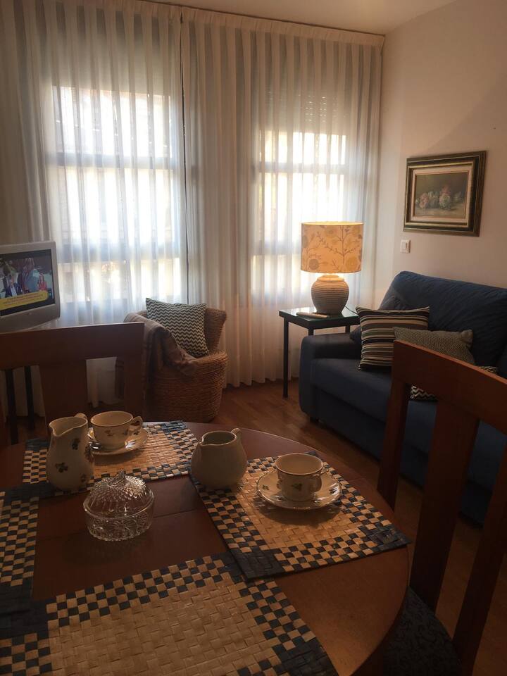 舒适的客厅，配有电视和双人沙发床，室外明亮