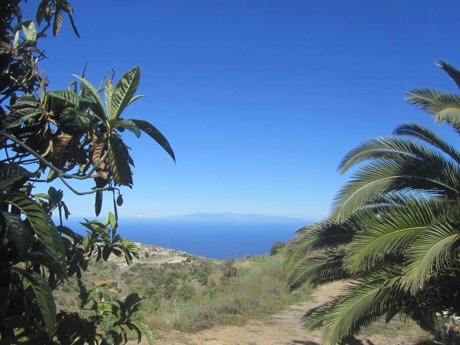 View during the day