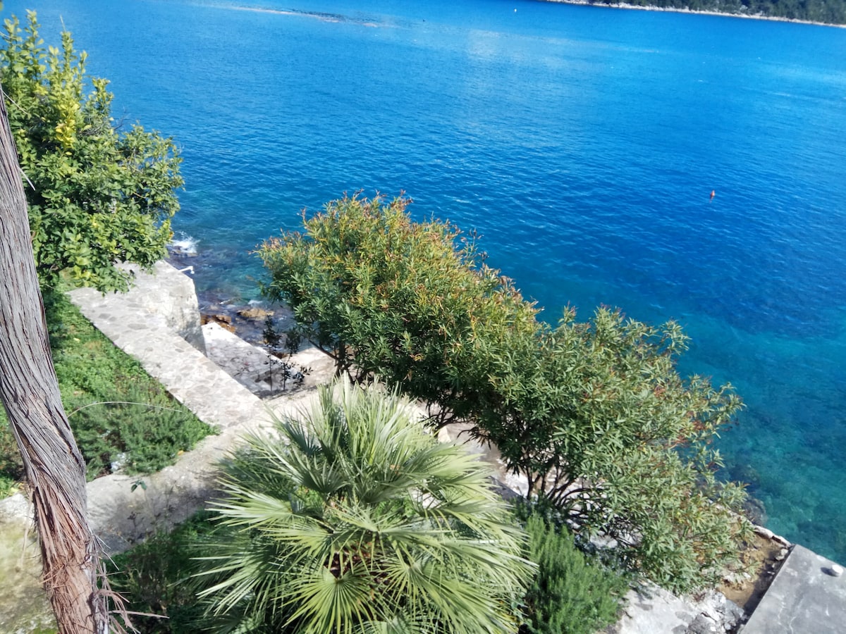 A lush coastal landscape is displayed, featuring vibrant greenery and tropical plants. The clear blue water of the sea reflects sunlight, enhancing the natural beauty of the serene environment. Rocky shoreline is visible, providing a peaceful setting for relaxation.