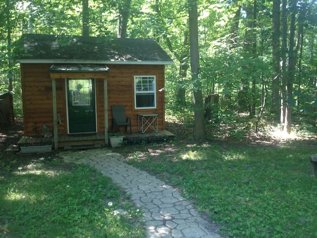 Airbnb Grass Lake Charter Township Vacation Rentals Places