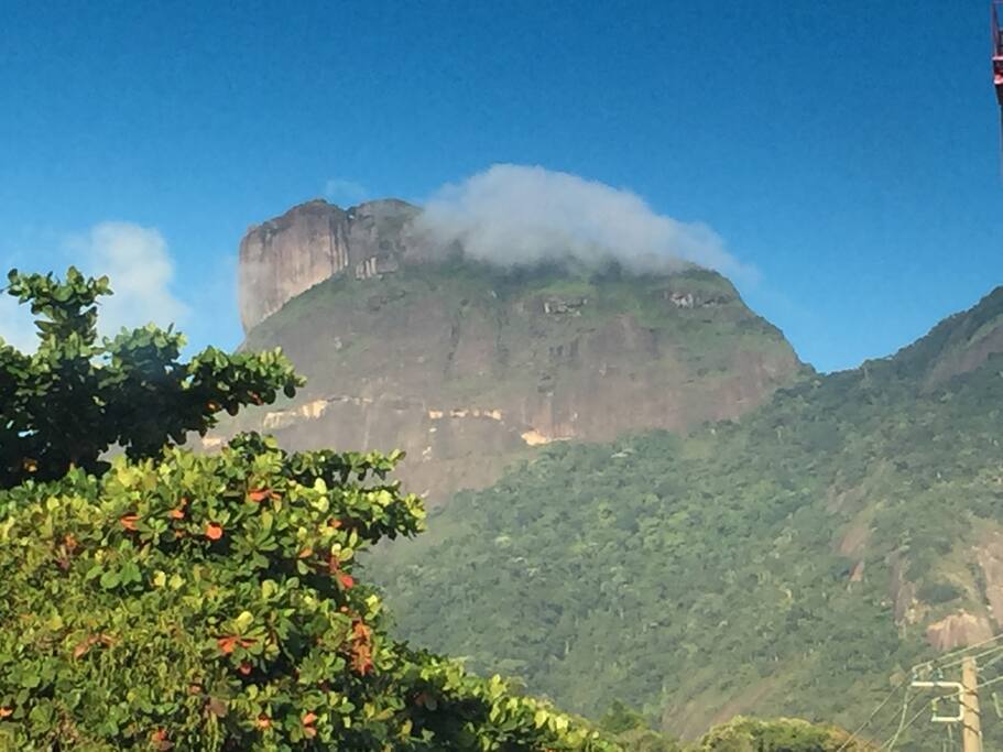 Vista São Conrado