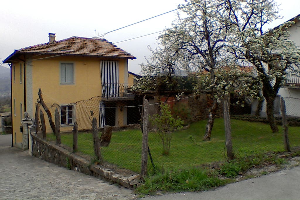 Back of the house with garden and upper terrace