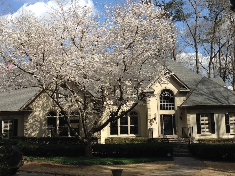 Spacious private home in West Cobb