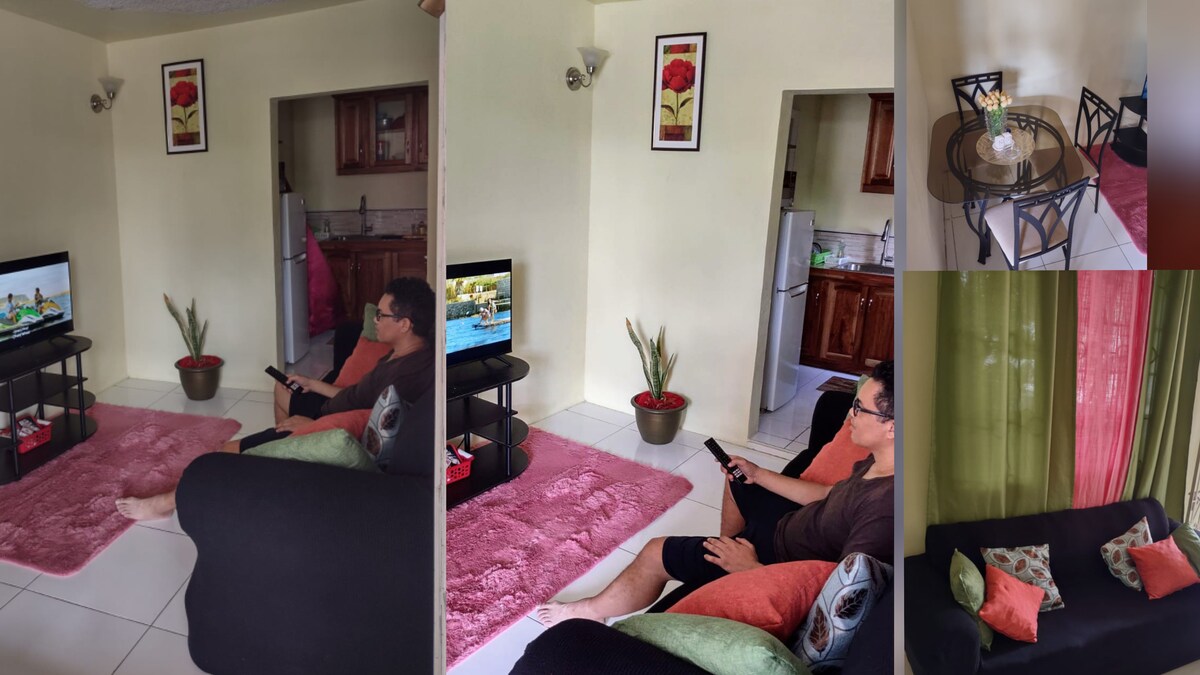 A combined living and dining area features a comfortable couch positioned near a 40-inch smart TV. A small dining table is set with decorative items. The room is accented by potted plants and vibrant colored curtains, contributing to a cozy atmosphere.