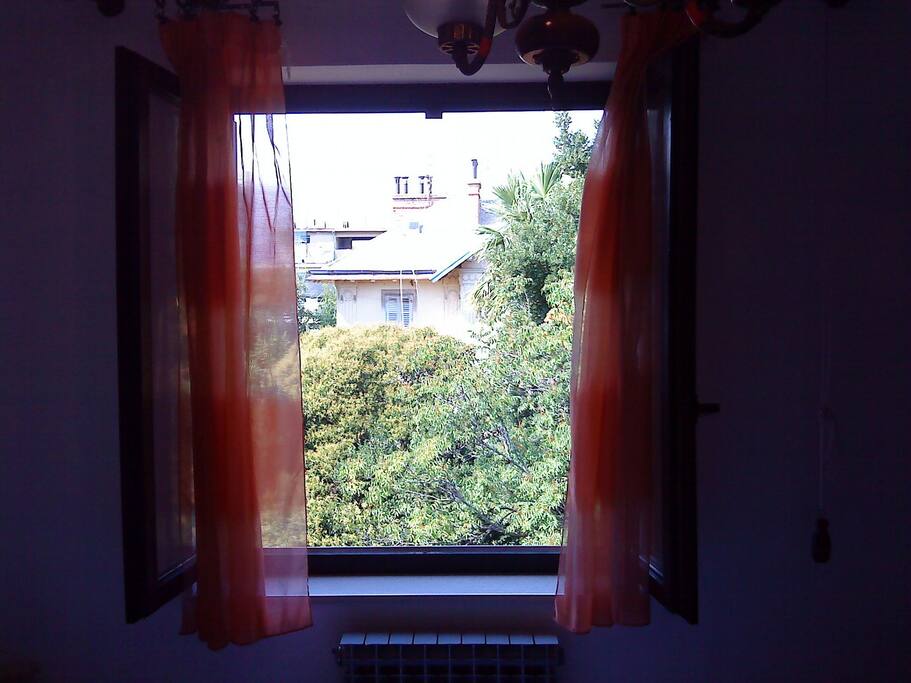 view