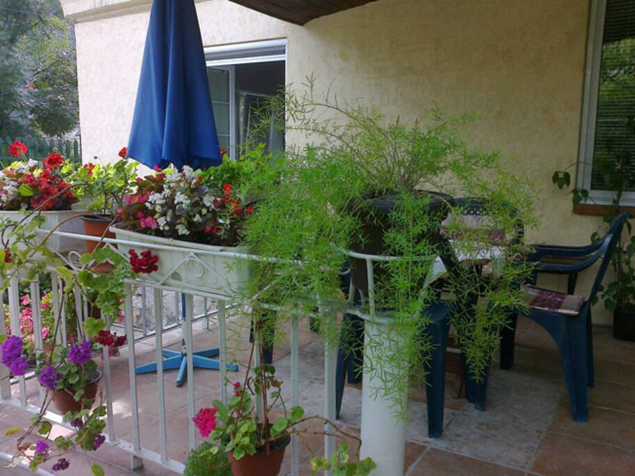 The terrace, view from the garden