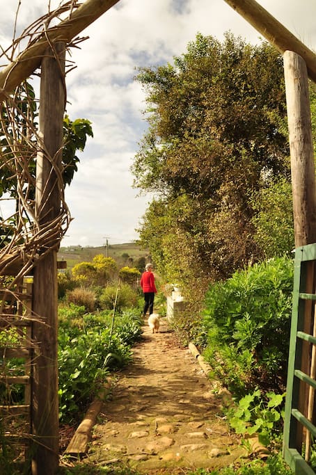 The pathway through the garden to the private farm house entrance.