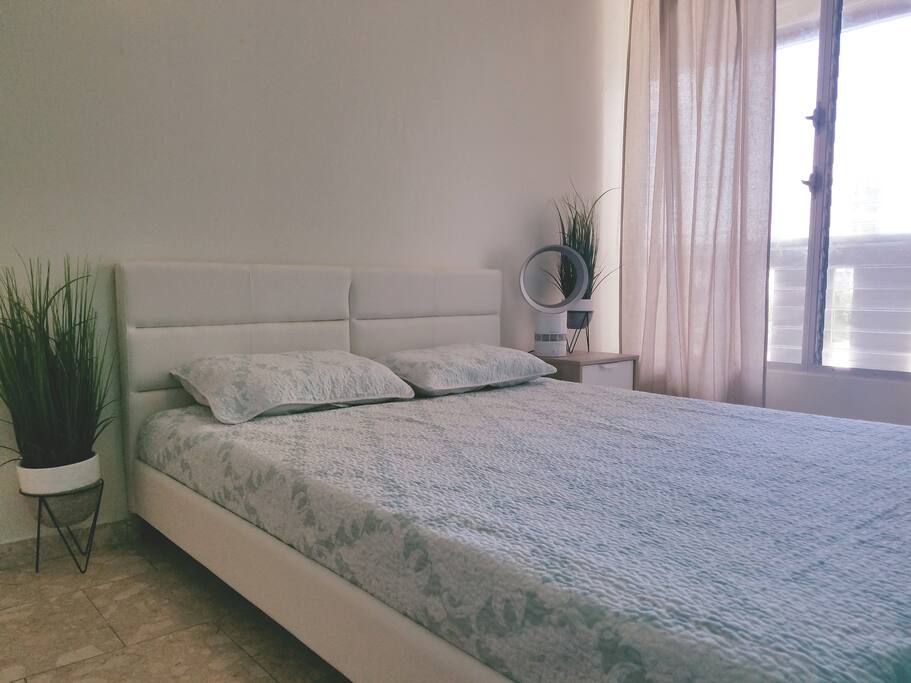 Plenty of natural light or you can pull down the blackout shades