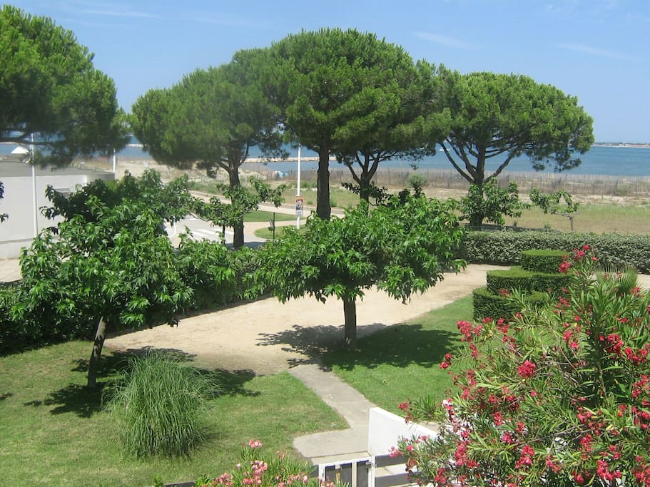 Vue du balcon