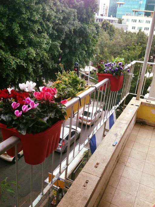 privet balcony from the room watcing to the blvd