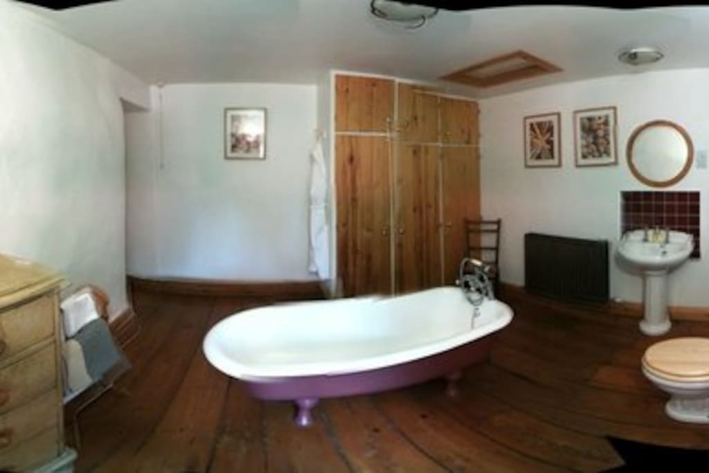 Panoramic picture of bathroom (slightly misshapen)