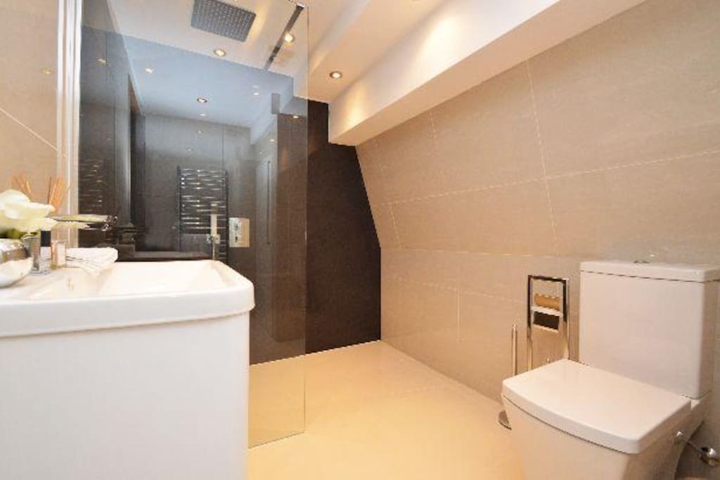 Walk in shower room/toilet 1