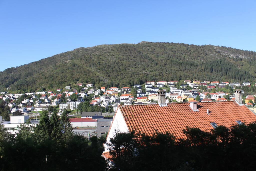 A view from outside house