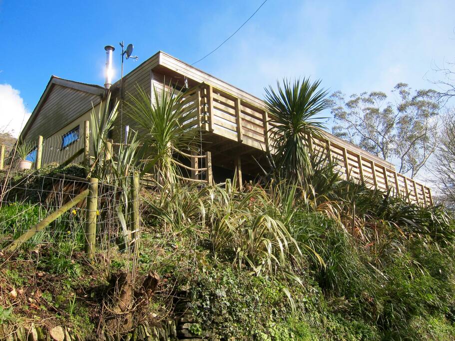 The House