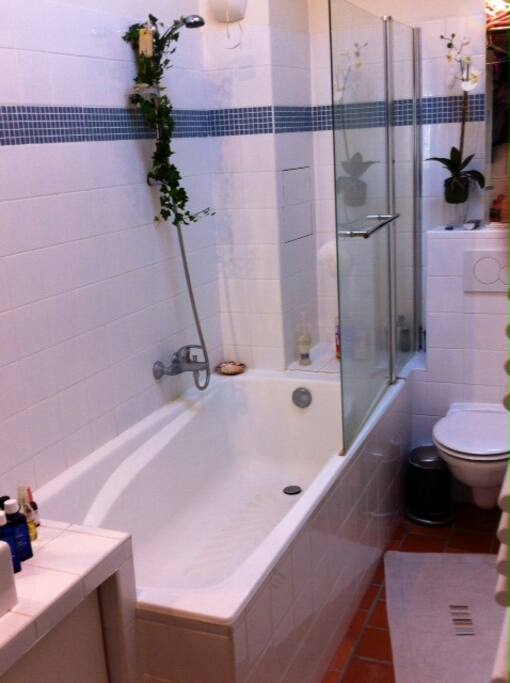 Baignoire avec douche, toilettes, lave-linge, luminosité (fenêtre velux), planche à repasser, fer à repasser