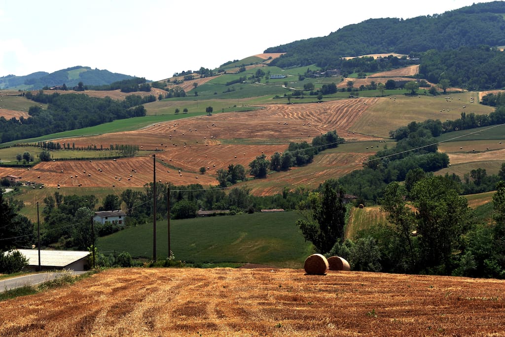 Vista dalla casa