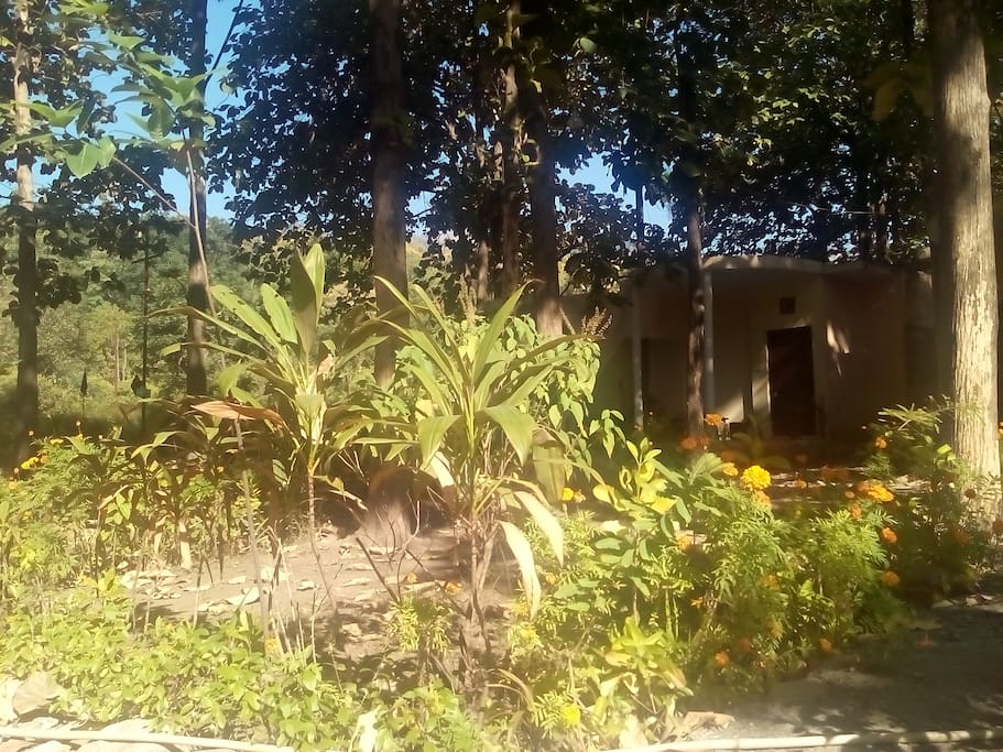 GUEST HOUSE IN RESERVE FOREST