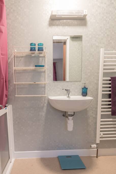 Ensuite Shower room