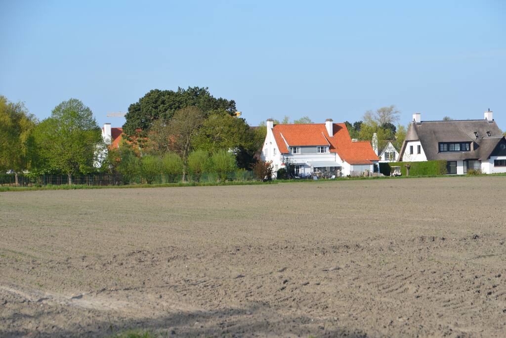 From the field (it’s the white house) peaceful environment