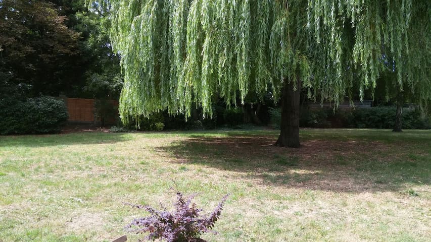 Central double room near Portobello with Garden