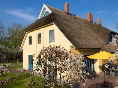 Light-flooded thatched cottage vacation home