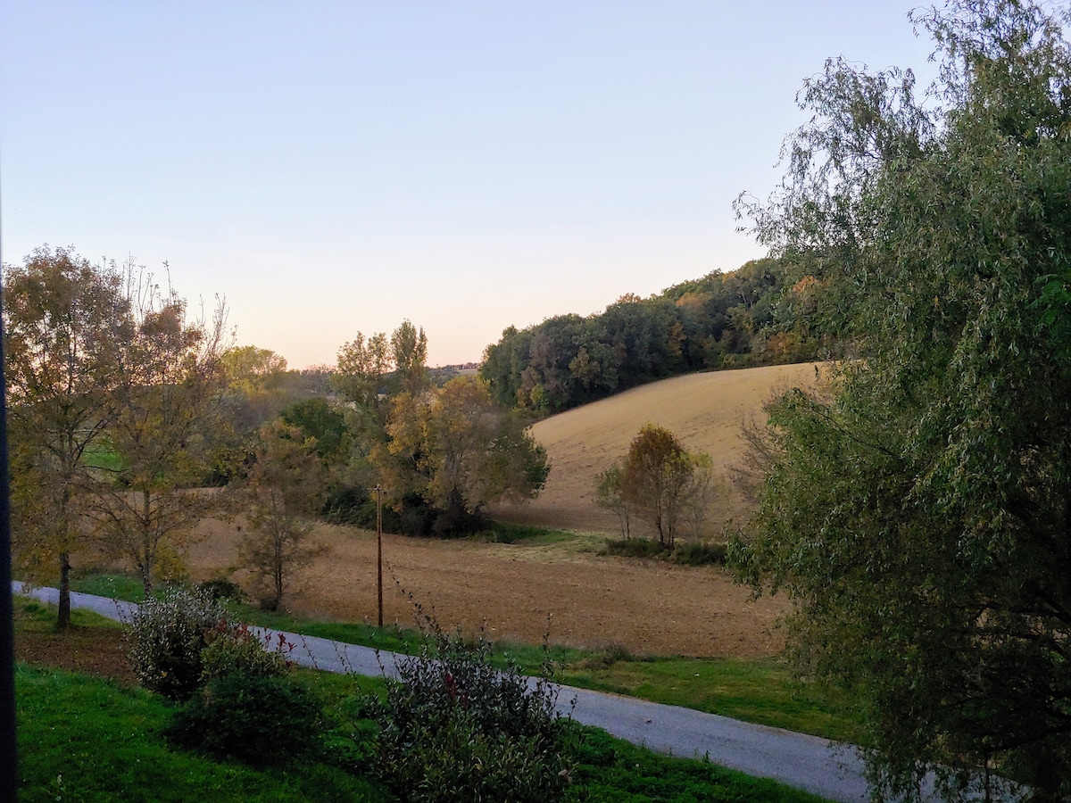 A tranquil landscape is depicted, featuring rolling hills adorned with trees displaying autumn colors. A gravel road leads through the foreground, with patches of grass and shrubs. The sky is softly illuminated by the evening light, creating a serene rural setting.