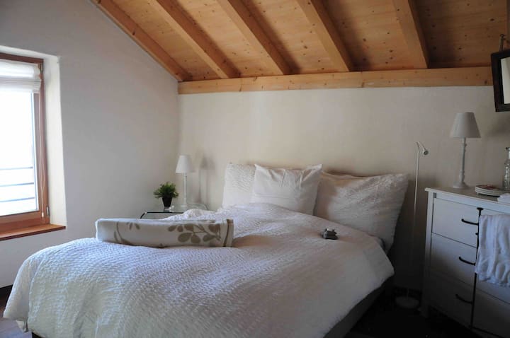 Perle de Lavaux with outstanding Lake Léman views