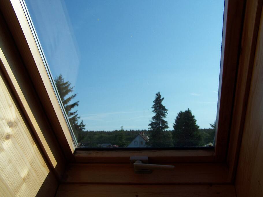 Schöne Aussicht
