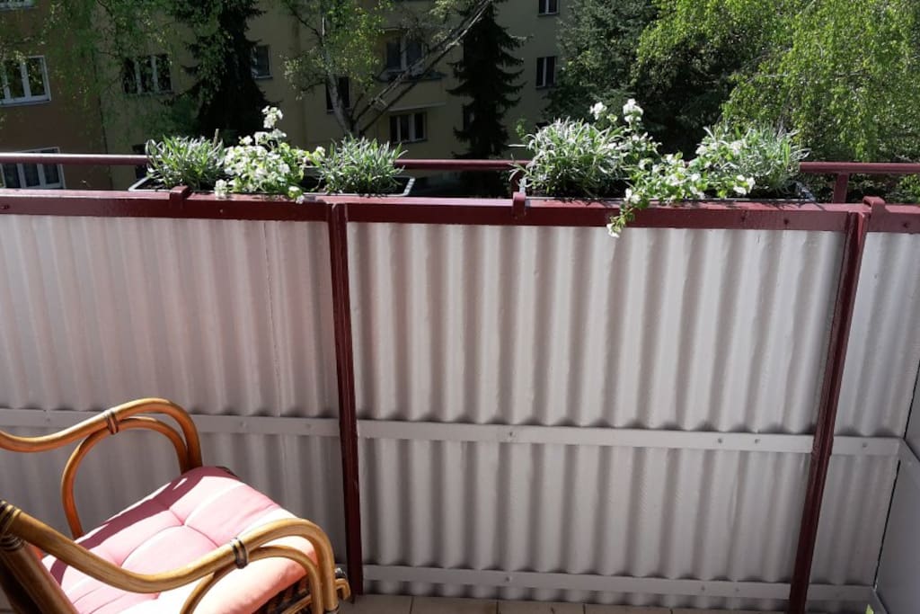 Enjoy the sun on the balcony in the afternoon