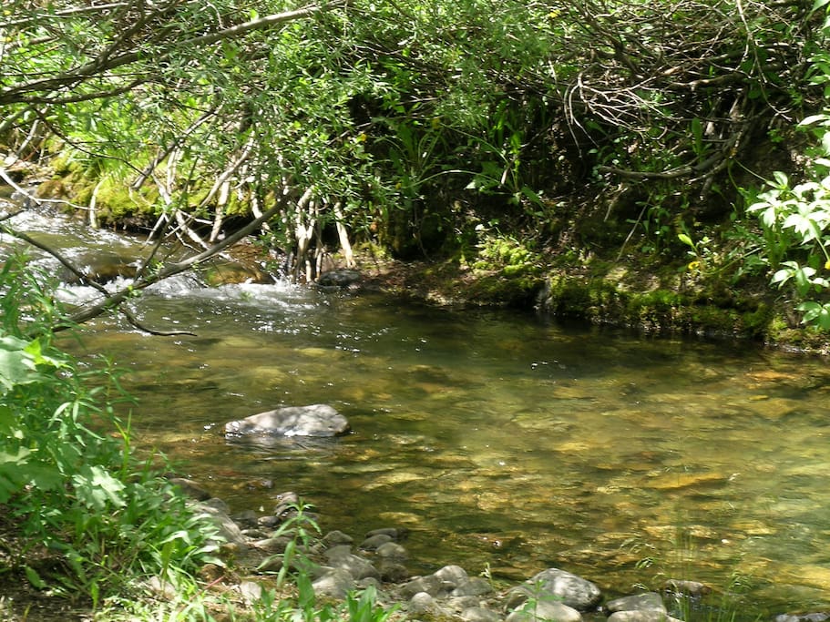 Summer by the river