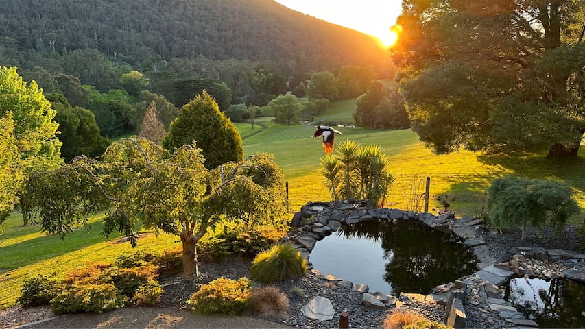 Warburton Valley&Golf Club View