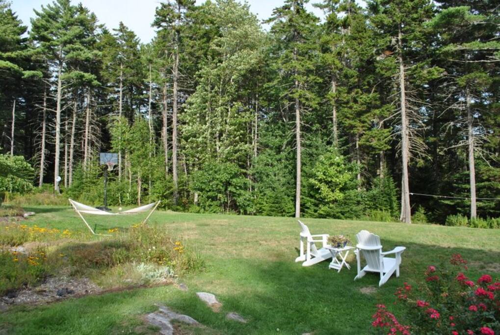 the expansive yard