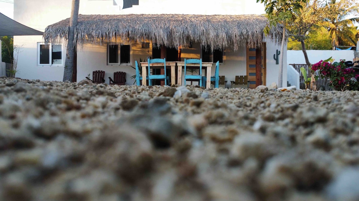 A shaded seating area is featured beneath a thatched roof, complemented by wooden chairs and a table. The ground is covered with pebbles, leading towards the house's exterior, which displays several windows framed by greenery and a cactus, enhancing the tropical feel.