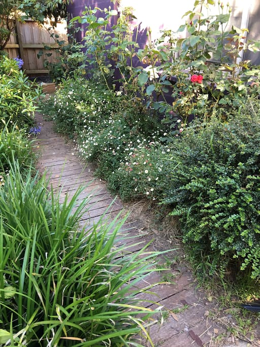 Cottage inspired garden.