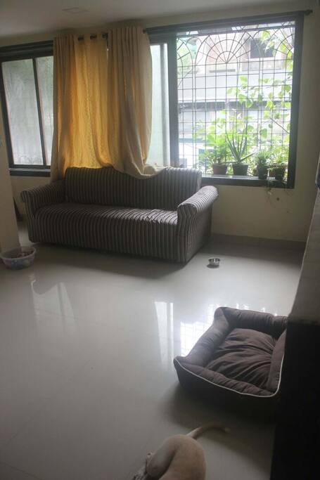 Large Living Room with Open Space