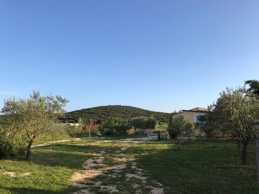 Vorgarten