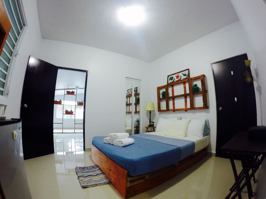 View from inside the studio. You can see the private entrance and small indoor balcony area with a cool little hammock where you can chill at or have a third person sleep!