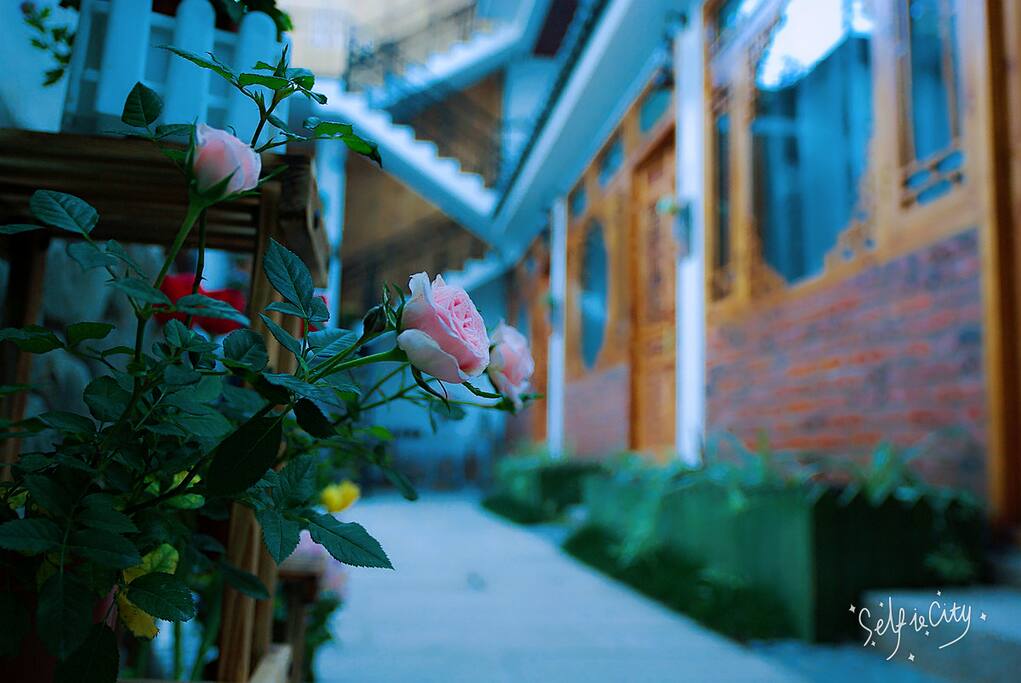 传统庭院,鲜花迎客