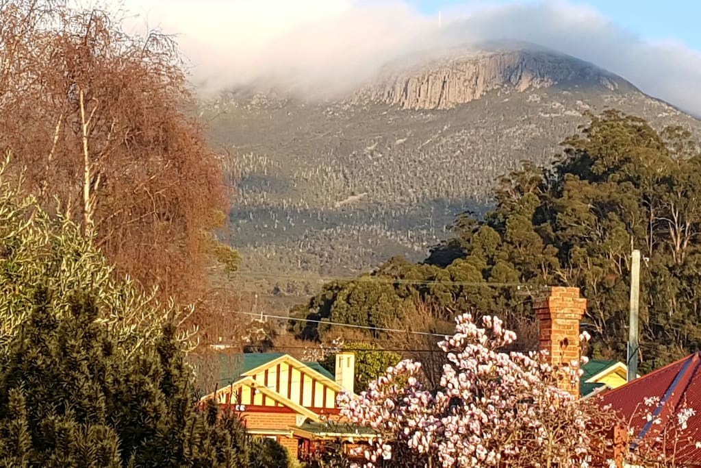 Mountain views from the garden