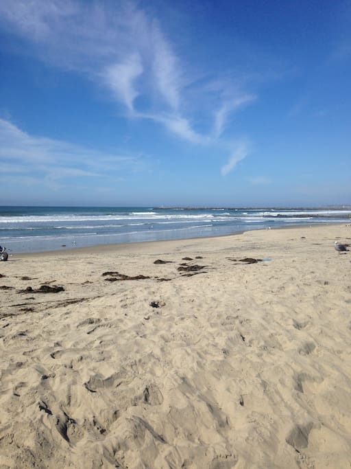 Mission Beach, steps away.