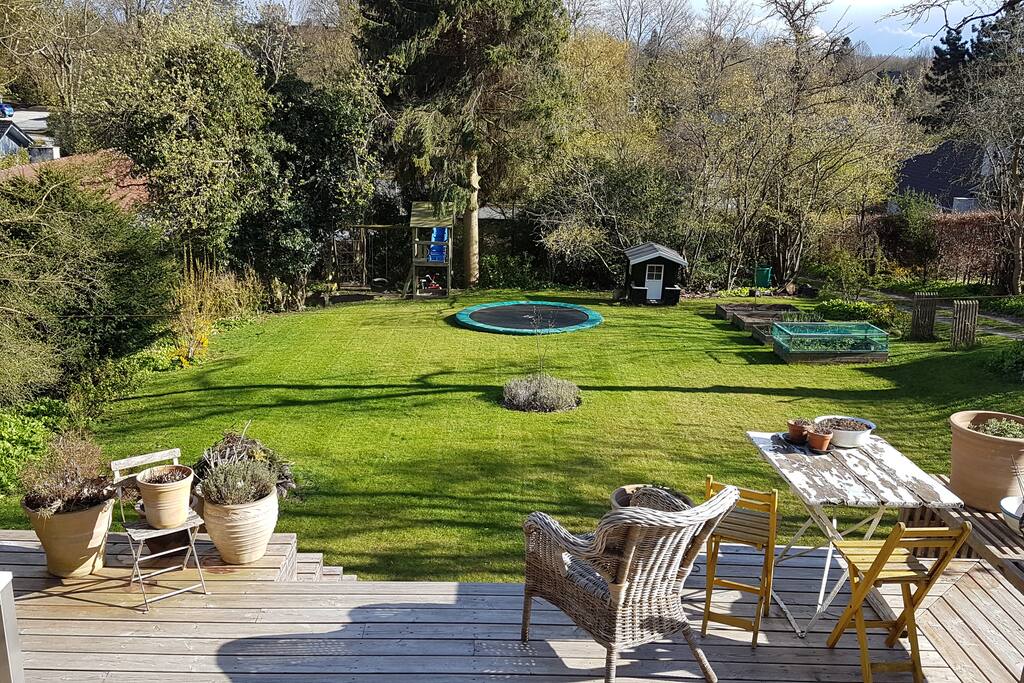 The garden