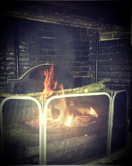 Feu de cheminée très convivial pour de longues discussions nocturnes