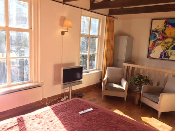 带电视的起居区。美丽的花园景观！